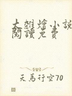 大杂烩小说全集阅读免费