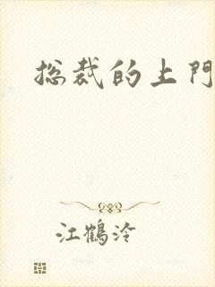 总裁的上门女婿