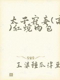 太子宠妾(高肉)红烧肉包