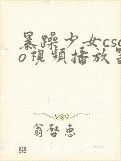 暴躁少女csgo视频播放器推荐