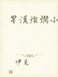 星汉灿烂小说