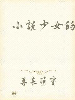 小说少女的心