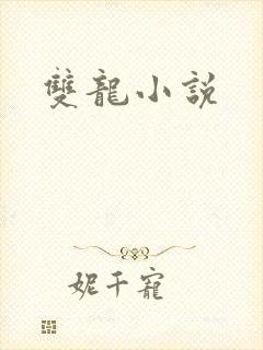 双龙小说