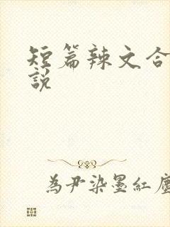 短篇辣文合集小说