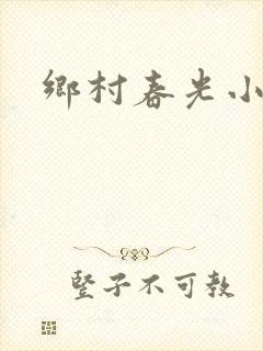 乡村春光小说