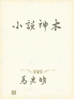 小说神木