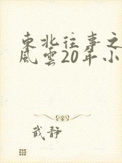 东北往事之黑道风云20年小说