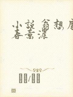 小说 翁想房中春意浓