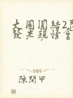 大团圆结2闪闪发光亲情会