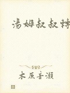 汤姆叔叔转接口