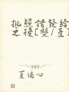 批照错发给情敌之后[双/产]