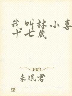 我叫林小喜今年十七岁