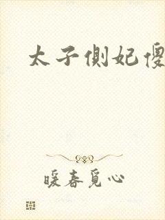 太子侧妃傻乎乎