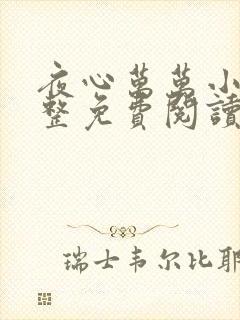 夜心万万小说完整免费阅读全文