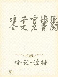 浪子官场猎艳记全文免费阅读