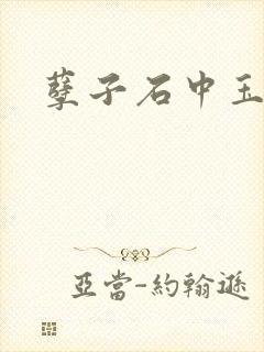 孽子石中玉