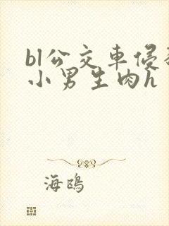 bl公交车侵犯小男生肉h