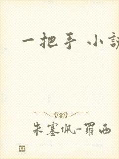 一把手 小说