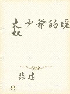 大少爷的暖床小奴