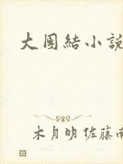 大团结小说下载