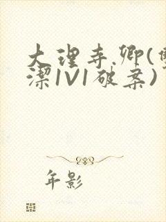 大理寺.卿(双洁1V1破案)