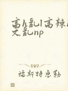 高h乱l高辣h文乱np