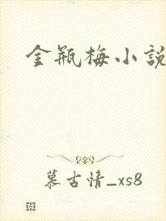 金瓶梅小说下载