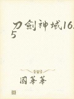 刀剑神域16.5