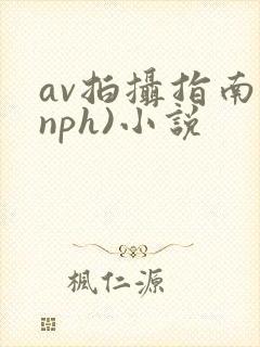 av拍摄指南(nph)小说