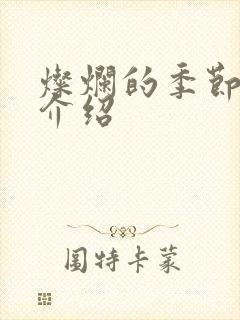 灿烂的季节剧情介绍