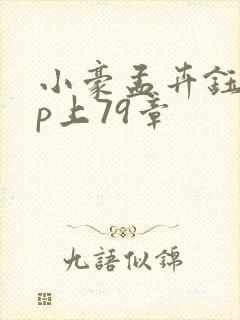 小豪孟卉钰慧三p上79章