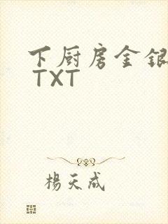 下厨房金银花露 TXT