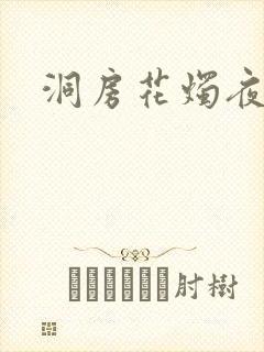洞房花烛夜小说