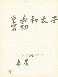 皇帝和太子妃h云初