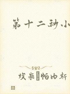 第十二秒小说