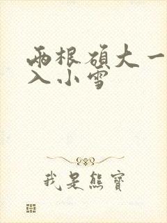 两根硕大一起挤入小雪