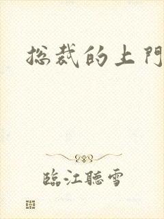 总裁的上门女婿