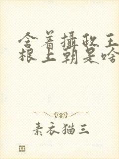 含着摄政王的紫根上朝是啥小说