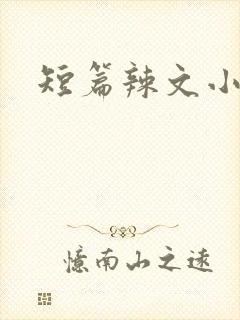 短篇辣文小说