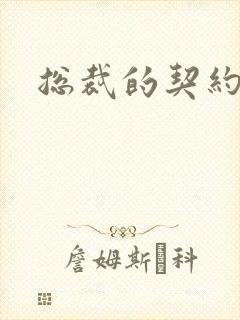 总裁的契约情人