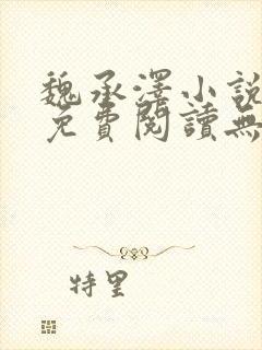 魏承泽小说全文免费阅读无弹窗笔趣