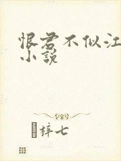 恨君不似江楼月小说