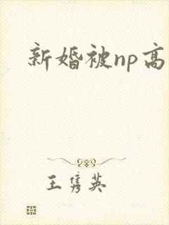 新婚被np高h