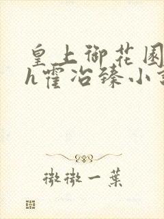 皇上御花园hlh霍冶臻小说