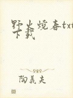野火烧春txt下载
