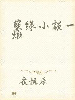 孽缘小说一家乱炖