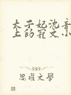 太子妃沈音和皇上的宠文小说