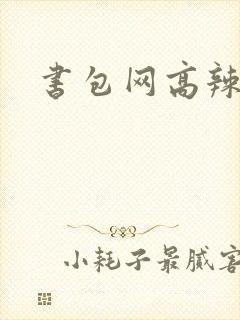 书包网高辣文