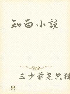 知白小说