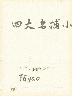 四大名捕小说